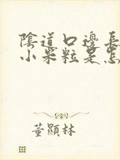 阴道口边长个红小米粒是怎么了