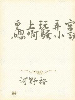 皇上玩弄宫女奶,嗯啊骚小说