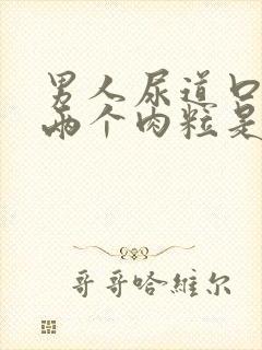 男人尿道口长了两个肉粒是怎么回事