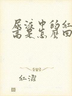 尿液中的红细胞高是怎么回事儿?