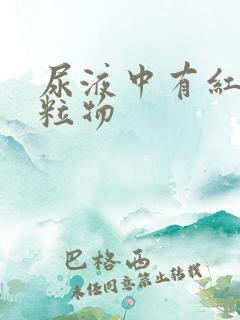 尿液中有红色颗粒物