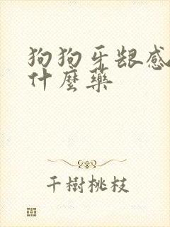 狗狗牙龈感染用什么药