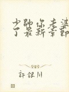 少帅你老婆又跑了最新章节