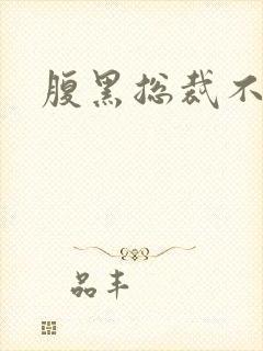 腹黑总裁不再见