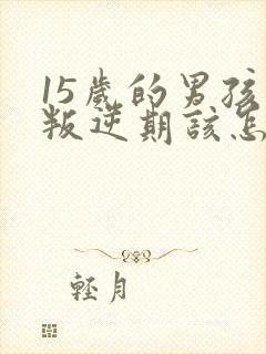 15岁的男孩子叛逆期该怎么沟通