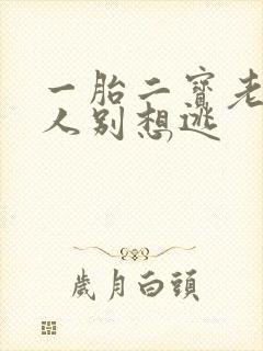 一胎二宝老婆大人别想逃