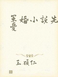 军婚小说先婚后爱