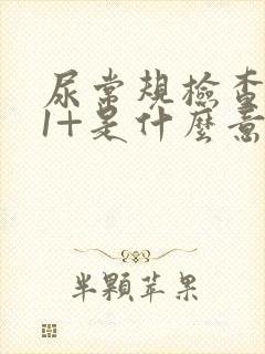 尿常规检查酮体1+是什么意思