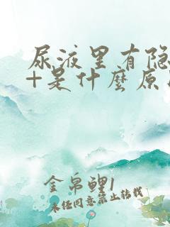 尿液里有隐血2+是什么原因