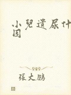 小儿遗尿什么原因