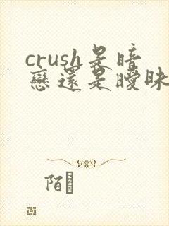 crush是暗恋还是暧昧