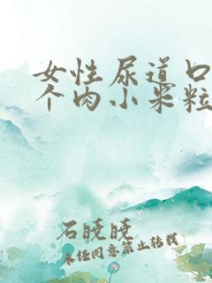 女性尿道口内有个肉小米粒