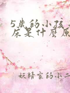 5岁的小孩老尿床是什么原因