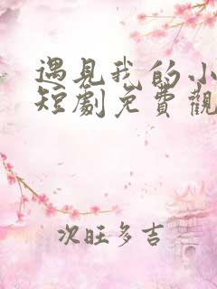 遇见我的小欢喜短剧免费观看全集高清