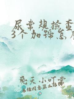 尿常规检查隐血3个加号怎么回事