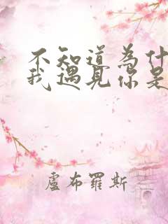 不知道为什么让我遇见你是哪首歌的歌词