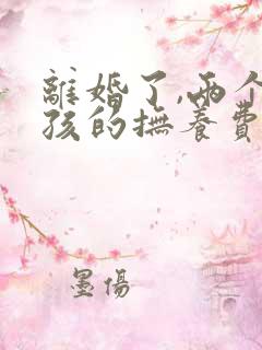 离婚了,两个小孩的抚养费是多少