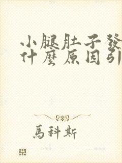 小腿肚子发酸是什么原因引起的