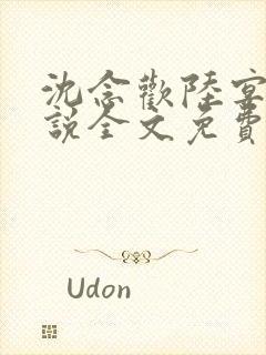 沈念欢陆宴川小说全文免费阅读全文