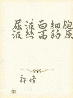 尿液白细胞和粘液丝高的原因