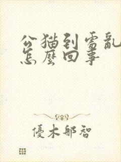 公猫到处乱尿是怎么回事