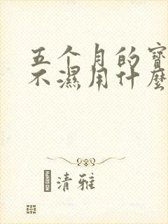 五个月的宝宝尿不湿用什么码