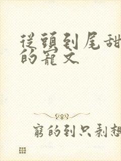 从头到尾甜到腻的宠文