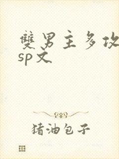 双男主多攻一受sp文