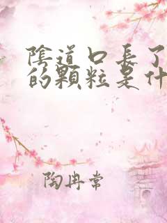 阴道口长了白色的颗粒是什么