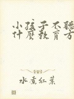 小孩子不听话有什么教育方法