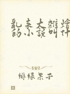 乱来大杂烩懒惰的小说叫什么