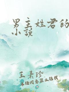 男主姓君的现代小说