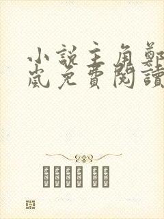 小说主角郑宇夏岚免费阅读无弹窗