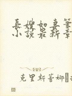 长嫂如妻笔趣阁小说最新章节