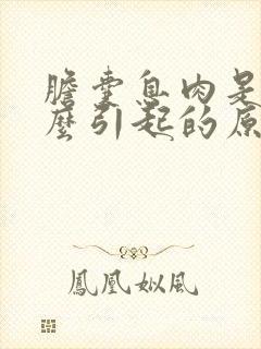 胆囊息肉是由什么引起的原因