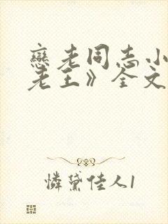 恋老同志小说《老王》全文阅读