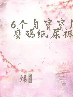 6个月宝宝用什么码纸尿裤