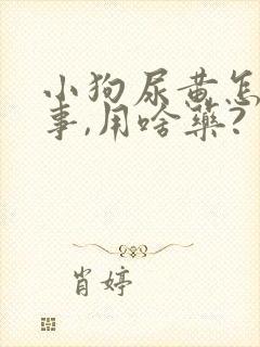 小狗尿黄怎么回事,用啥药?