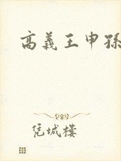 高义王申孙倩