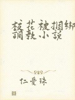 校花被捆绑玩弄调教小说