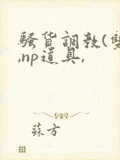 骚货调教(双性,np道具,