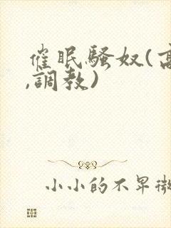 催眠骚奴(高h,调教)