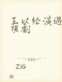 王以纶演过的电视剧