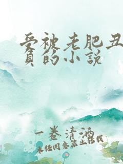 受被老肥丑攻欺负的小说