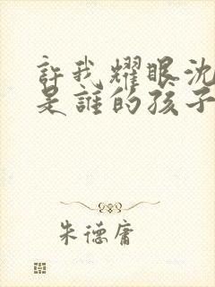 许我耀眼沈浩晨是谁的孩子