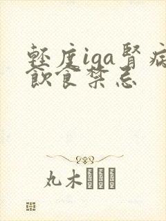 轻度iga肾病饮食禁忌