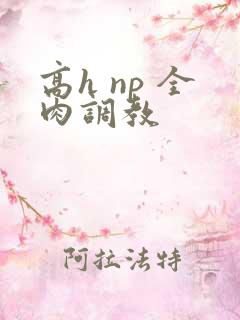 高h np 全肉调教