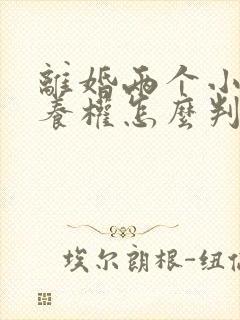 离婚两个小孩抚养权怎么判