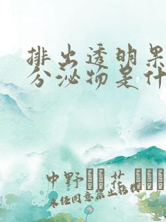 排出透明果冻状分泌物是什么