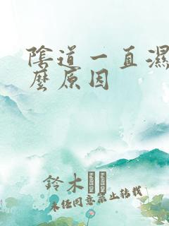 阴道一直湿是什么原因